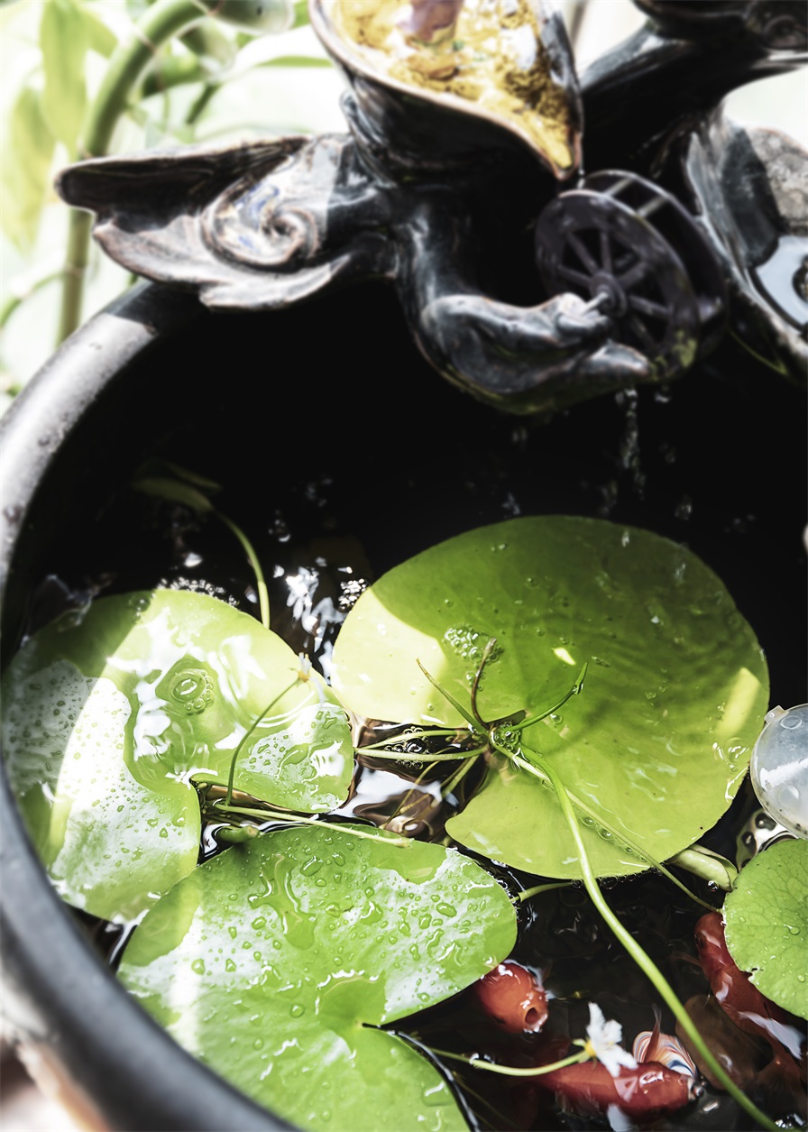 1685947295506527.jpg 143A8321.JPG